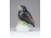 Régi jelzett Rosenthal madár 7.5 cm