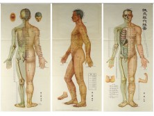 Kínai anatómia plakát papír tokjában 3 darab ~1950-60