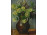 XX. századi festő : Asztali virágcsendélet orgonákkal