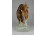 Nagyméretű Royal Dux porcelán vadászkutya pár 27 cm