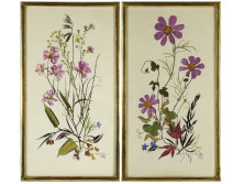 Britzke Neef : Botanikai kép pár 34.5 x 19.5 cm