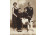 Szitovszky : Régi szépen keretezett családi fotográfia 36 x 27.5 cm