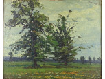 Bosznay István (1868 - 1944) : Nagy fa 1908