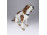 Régi Hutschenreuther porcelán kutya 20 cm