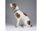 Régi Hutschenreuther porcelán kutya 20 cm