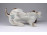 Régi Hutschenreuther porcelán kutya 20 cm