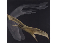 Vásárhelyi Katalin : Madár 60 x 60 cm