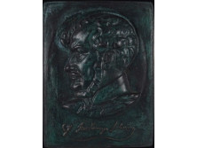 Nagyméretű Gróf Széchenyi István bronzplakett 21 x 15.5 cm