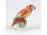 Régi Herendi mini porcelán papagáj figura 7.7 cm