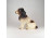 Régi nagyméretű porcelán kutya spániel szobor 28.5 cm 